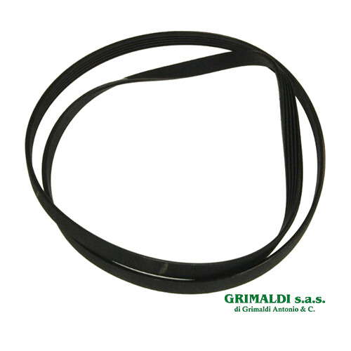 Cinghia motore elastica - cinghia,